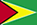 Flag of Guyana
